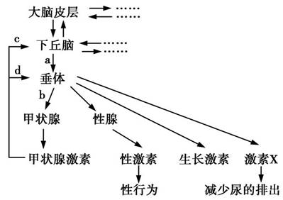 17.如图为神经调节和体液调节关系的部分示意图.