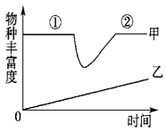 如图表示两个群落演替过程中物种丰富度的变化,下列叙述不正确的是