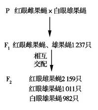 实验一:将这只白眼雄果蝇与正常红眼雌果蝇杂交,结果如图所示.