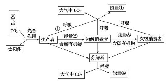 分析以下生态系统的能量流动和物质循环的关系简图,不能得到的结论是