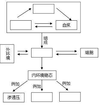 2015-2016學年度xxx學校10月月考卷(教師用卷)-高中生物 - 未來腦智能