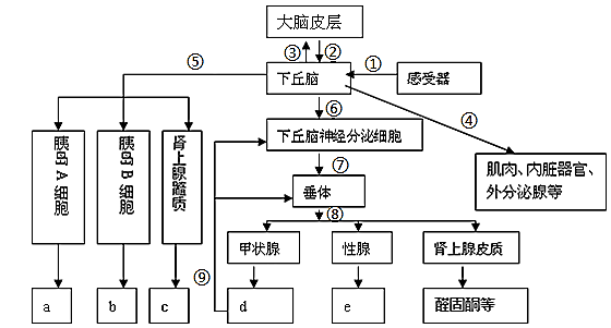 如圖是人體神經調節和體液調節的關係示意圖,請回答相關問題